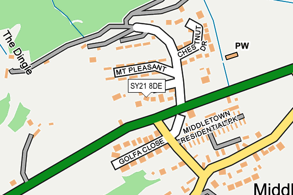 SY21 8DE map - OS OpenMap – Local (Ordnance Survey)