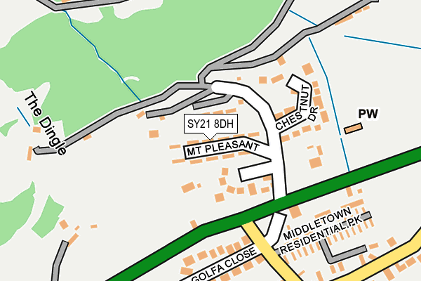 SY21 8DH map - OS OpenMap – Local (Ordnance Survey)