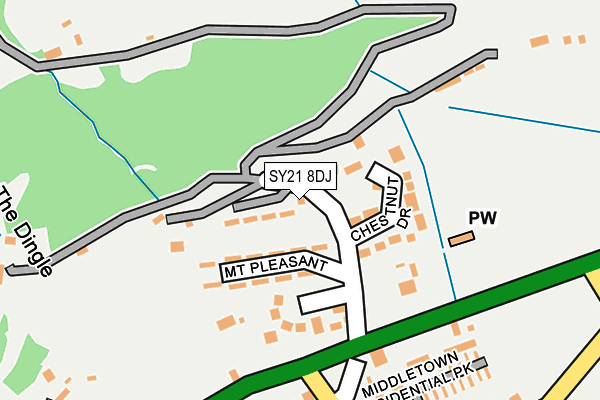 SY21 8DJ map - OS OpenMap – Local (Ordnance Survey)