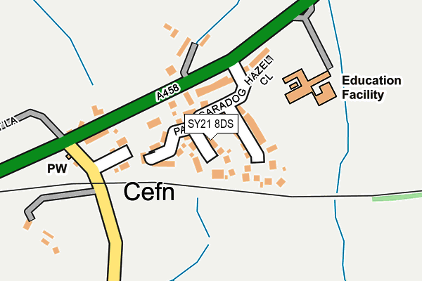 SY21 8DS map - OS OpenMap – Local (Ordnance Survey)