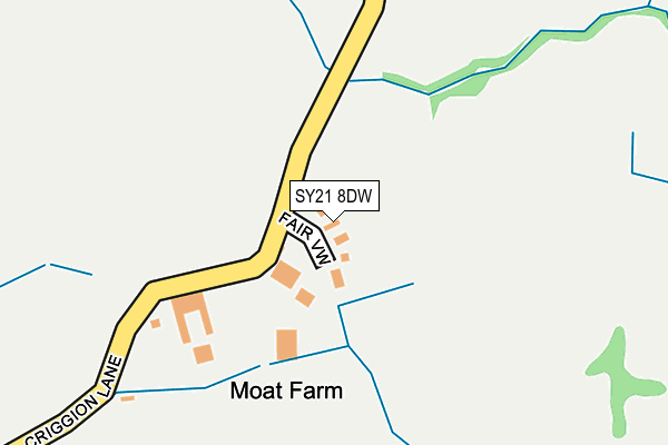 SY21 8DW map - OS OpenMap – Local (Ordnance Survey)