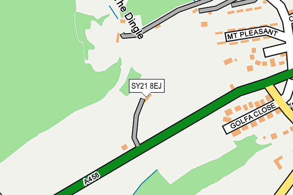 SY21 8EJ map - OS OpenMap – Local (Ordnance Survey)