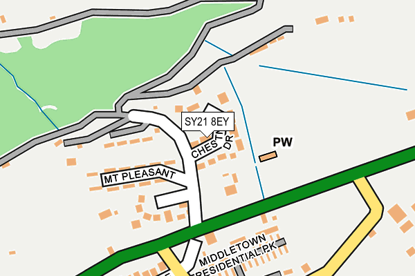 SY21 8EY map - OS OpenMap – Local (Ordnance Survey)