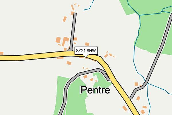 SY21 8HW map - OS OpenMap – Local (Ordnance Survey)