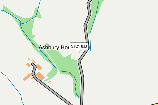 SY21 8JJ map - OS OpenMap – Local (Ordnance Survey)