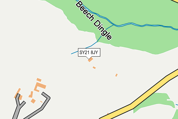 SY21 8JY map - OS OpenMap – Local (Ordnance Survey)