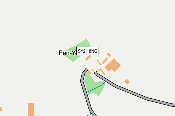 SY21 8NG map - OS OpenMap – Local (Ordnance Survey)