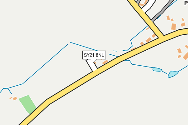 SY21 8NL map - OS OpenMap – Local (Ordnance Survey)