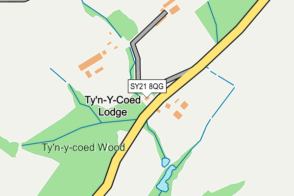 SY21 8QG map - OS OpenMap – Local (Ordnance Survey)