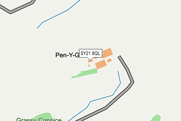 SY21 8QL map - OS OpenMap – Local (Ordnance Survey)