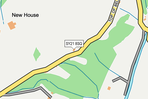 SY21 8SQ map - OS OpenMap – Local (Ordnance Survey)