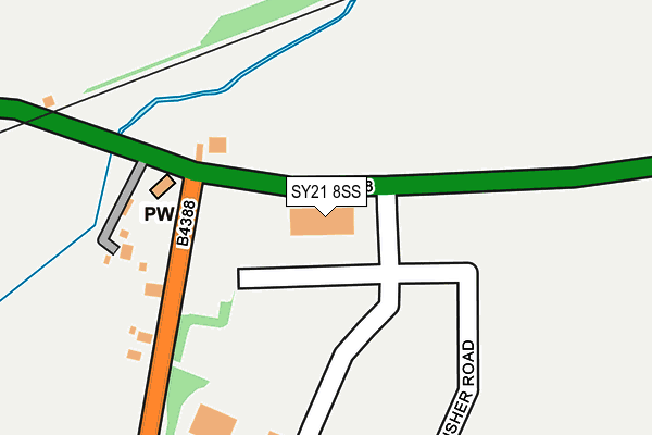 SY21 8SS map - OS OpenMap – Local (Ordnance Survey)