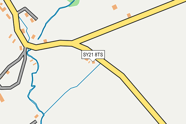 SY21 8TS map - OS OpenMap – Local (Ordnance Survey)