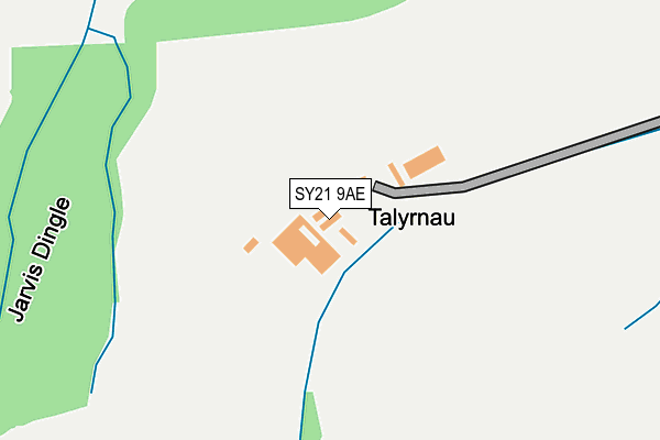 SY21 9AE map - OS OpenMap – Local (Ordnance Survey)