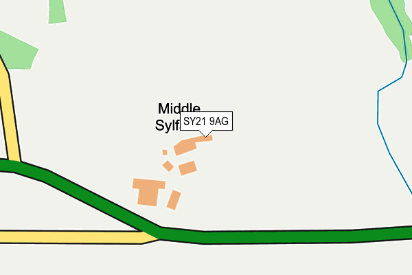 SY21 9AG map - OS OpenMap – Local (Ordnance Survey)