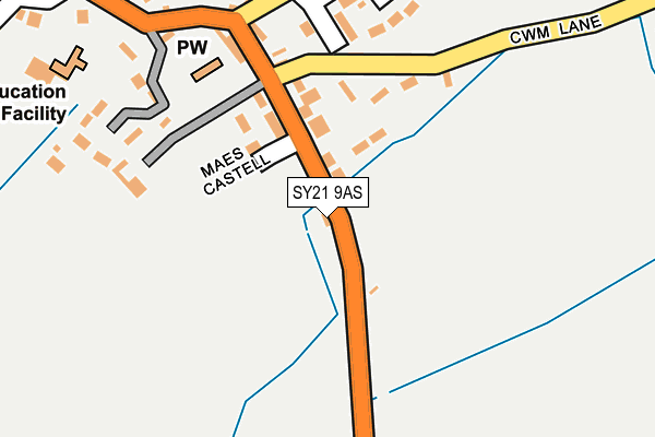 SY21 9AS map - OS OpenMap – Local (Ordnance Survey)