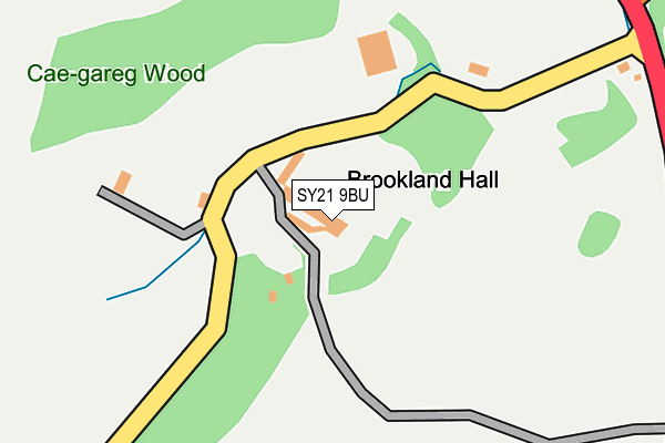 SY21 9BU map - OS OpenMap – Local (Ordnance Survey)