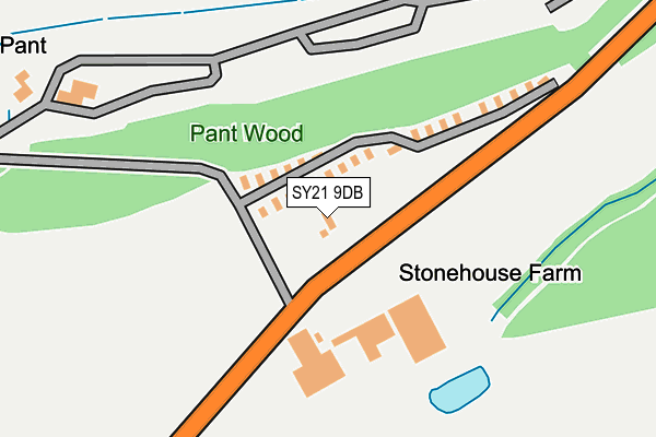 SY21 9DB map - OS OpenMap – Local (Ordnance Survey)