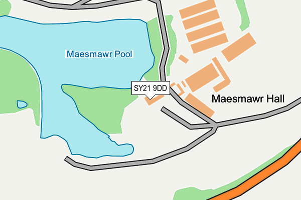 SY21 9DD map - OS OpenMap – Local (Ordnance Survey)