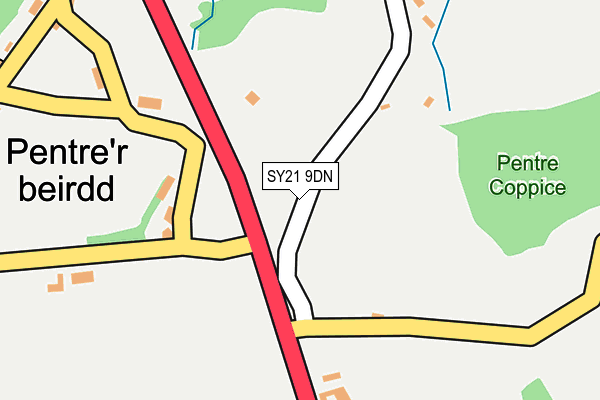 SY21 9DN map - OS OpenMap – Local (Ordnance Survey)