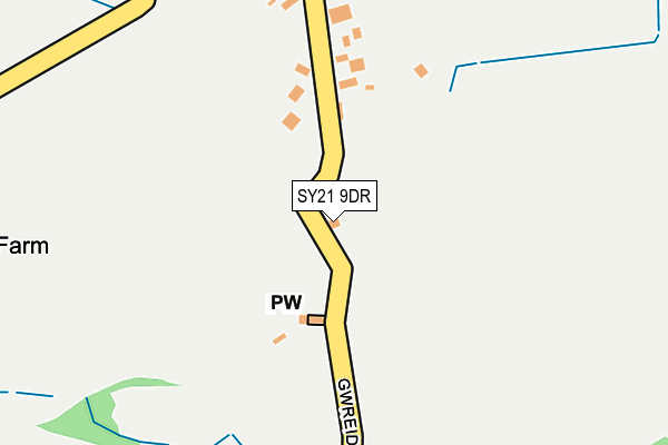 SY21 9DR map - OS OpenMap – Local (Ordnance Survey)