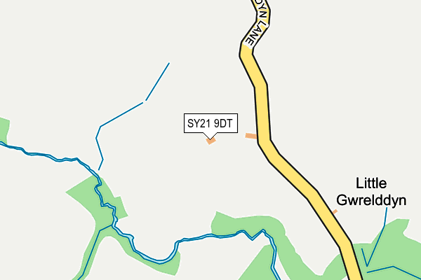 SY21 9DT map - OS OpenMap – Local (Ordnance Survey)