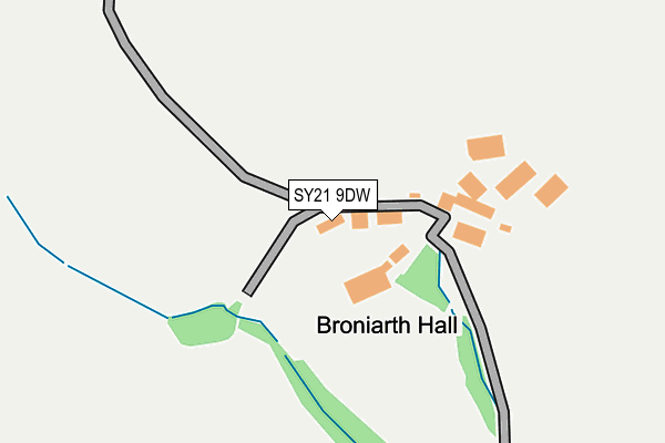 SY21 9DW map - OS OpenMap – Local (Ordnance Survey)