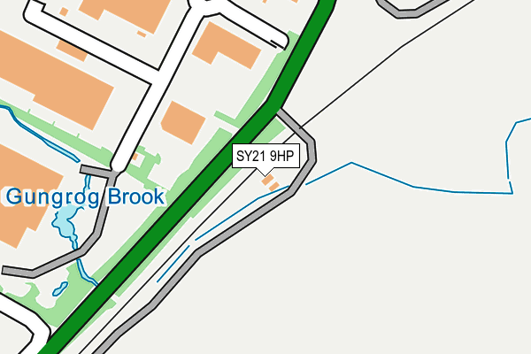 SY21 9HP map - OS OpenMap – Local (Ordnance Survey)