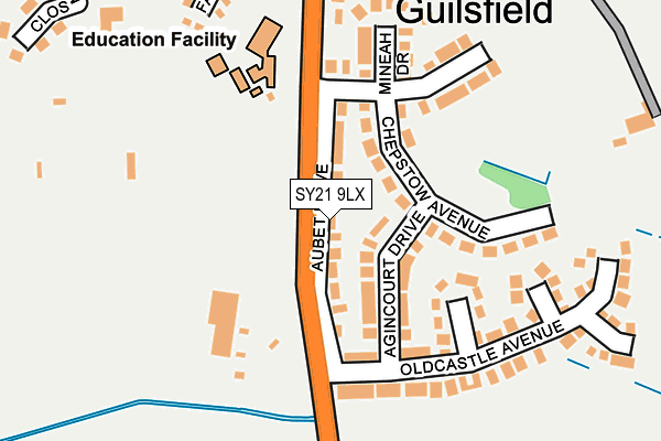 SY21 9LX map - OS OpenMap – Local (Ordnance Survey)