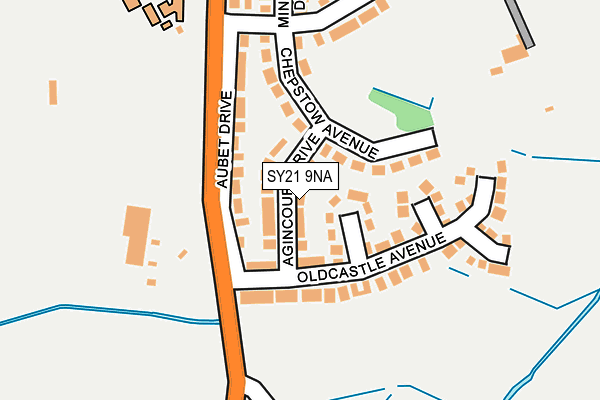 SY21 9NA map - OS OpenMap – Local (Ordnance Survey)