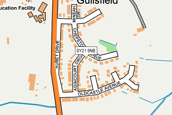 SY21 9NB map - OS OpenMap – Local (Ordnance Survey)