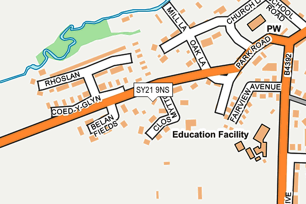 SY21 9NS map - OS OpenMap – Local (Ordnance Survey)
