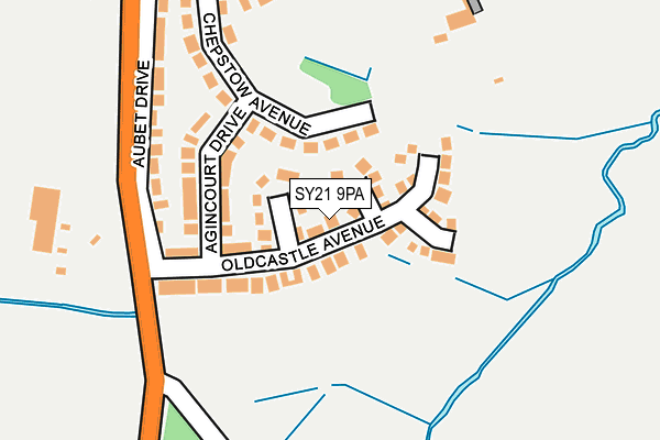 SY21 9PA map - OS OpenMap – Local (Ordnance Survey)