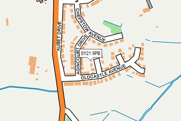 SY21 9PB map - OS OpenMap – Local (Ordnance Survey)