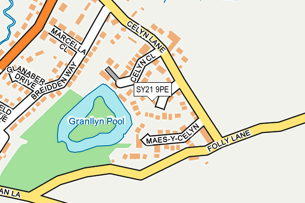 SY21 9PE map - OS OpenMap – Local (Ordnance Survey)