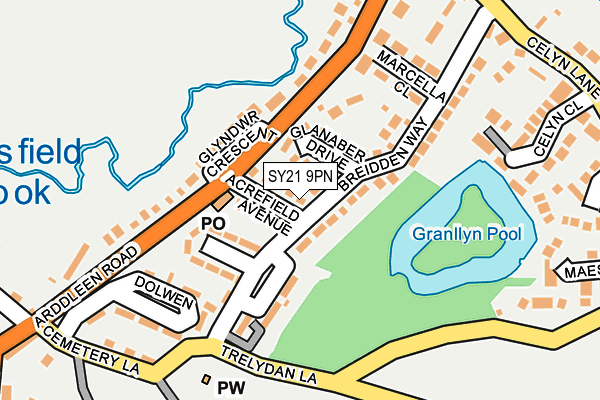 SY21 9PN map - OS OpenMap – Local (Ordnance Survey)