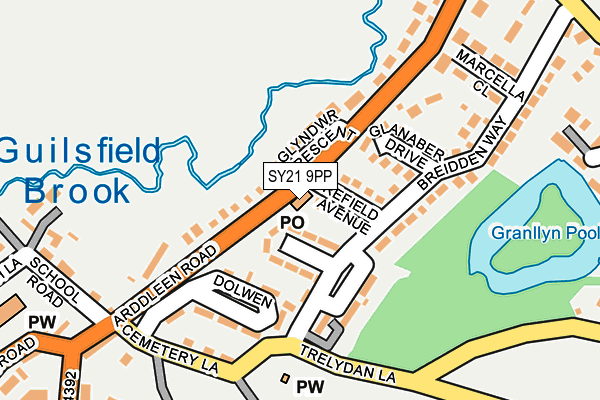 SY21 9PP map - OS OpenMap – Local (Ordnance Survey)