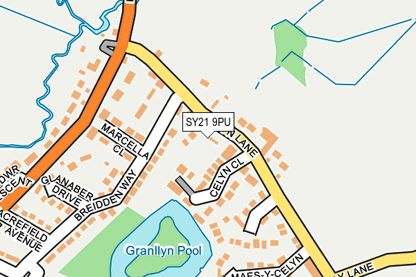 SY21 9PU map - OS OpenMap – Local (Ordnance Survey)