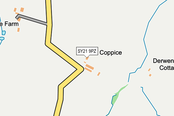 SY21 9PZ map - OS OpenMap – Local (Ordnance Survey)