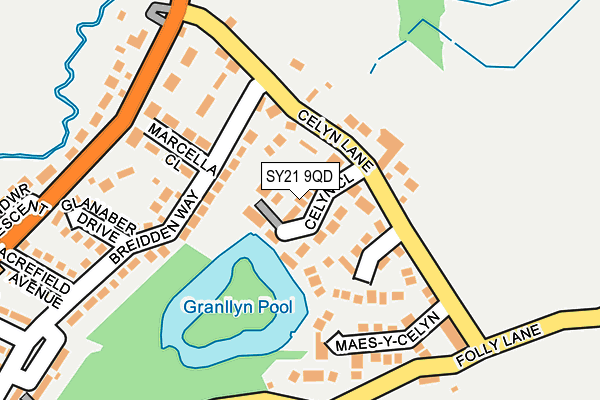 SY21 9QD map - OS OpenMap – Local (Ordnance Survey)