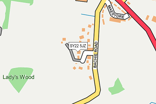 SY22 5JZ map - OS OpenMap – Local (Ordnance Survey)