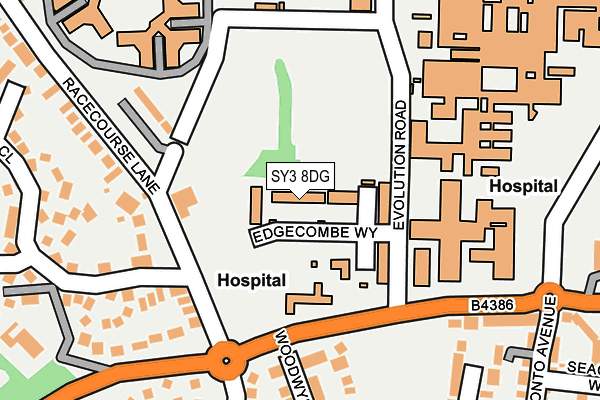 SY3 8DG map - OS OpenMap – Local (Ordnance Survey)