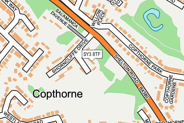 SY3 8TF map - OS OpenMap – Local (Ordnance Survey)