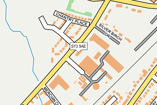 SY3 9AE map - OS OpenMap – Local (Ordnance Survey)