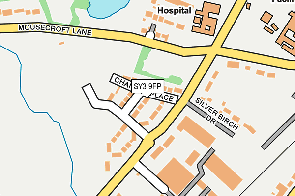 SY3 9FP map - OS OpenMap – Local (Ordnance Survey)