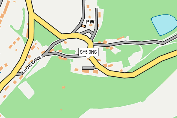 SY5 0NS map - OS OpenMap – Local (Ordnance Survey)