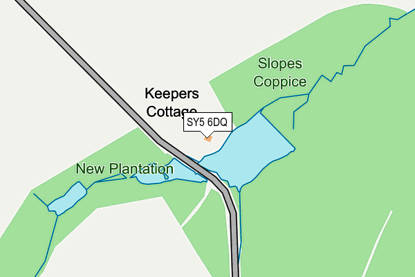 SY5 6DQ map - OS OpenMap – Local (Ordnance Survey)