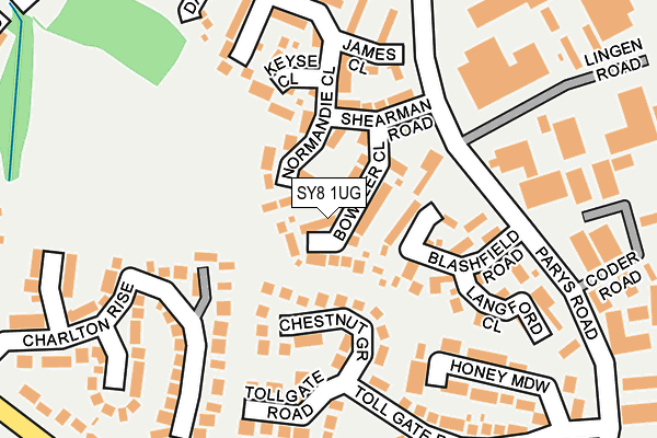 SY8 1UG map - OS OpenMap – Local (Ordnance Survey)