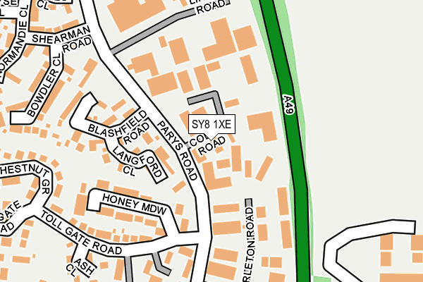 SY8 1XE map - OS OpenMap – Local (Ordnance Survey)