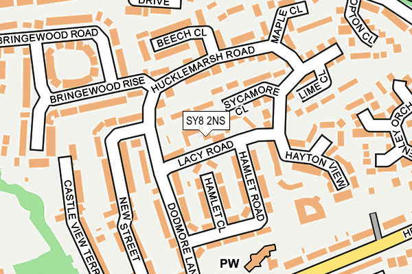 SY8 2NS map - OS OpenMap – Local (Ordnance Survey)